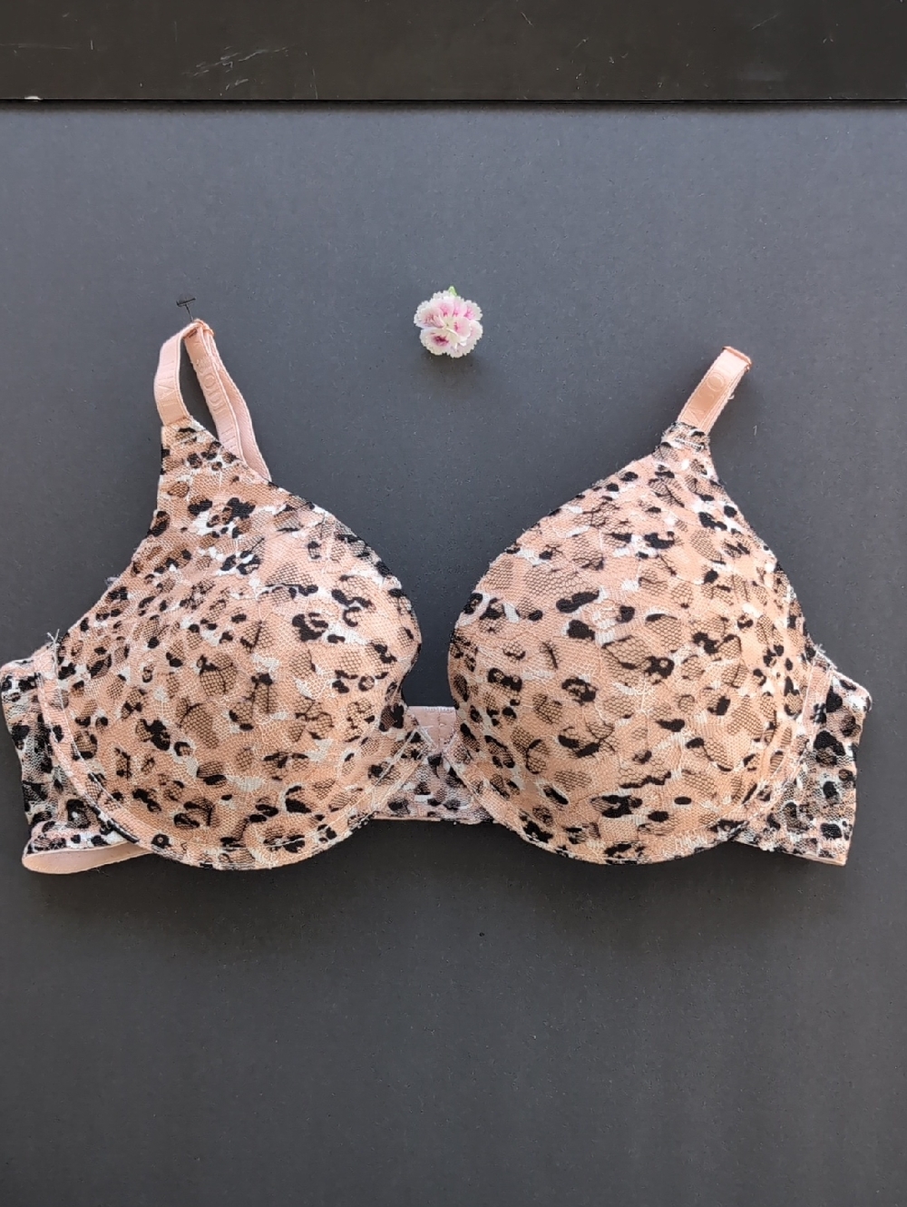 Thalia Sodi Beige Leopard Print Padded Underwire Bra Size 36C